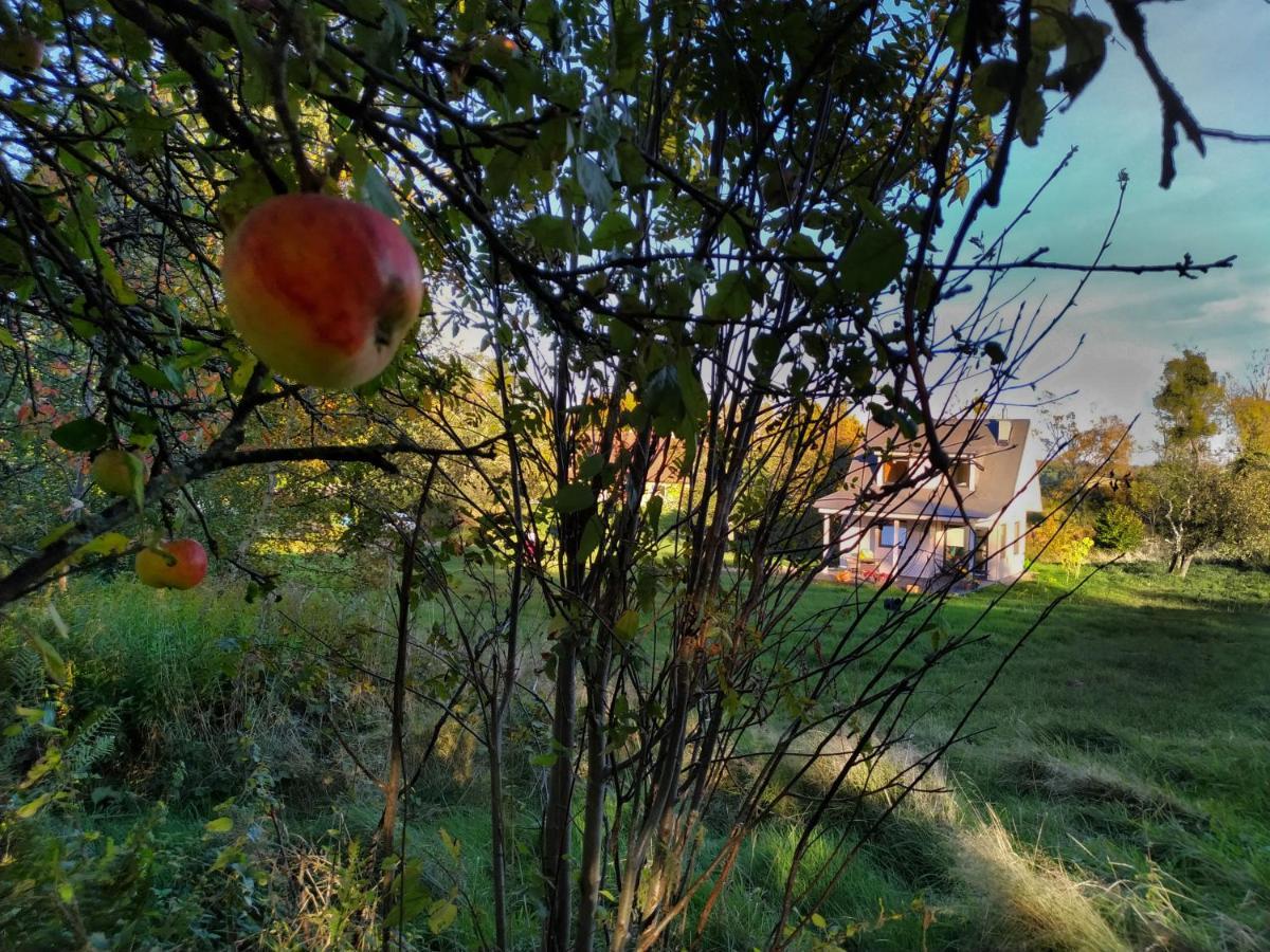 Villa Chwila Pauzy Tolkemit Exterior foto